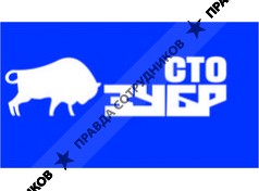 ЗУБР (Автомобильный сервисный центр)