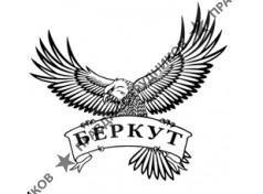 Беркут