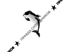 Партнёр Фиш