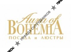 Aura of BOHEMIA посуда и люстры, Сеть магазинов