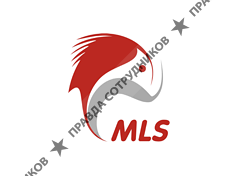 MLS IT Systems