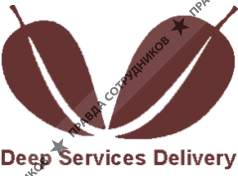 Deep Services Delivery