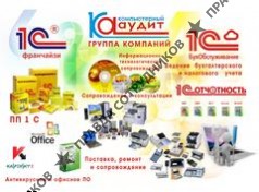 Компьютерный аудит, ГК