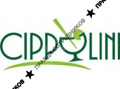 Зима Сервис Плюс