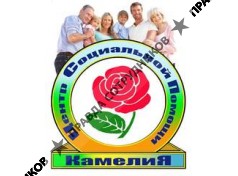 Камелия, ЦСП