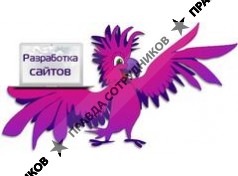 Web-студия Какаду