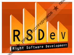 Right Software Development