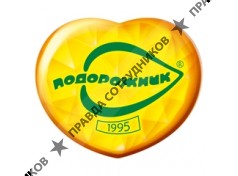 Холдинг Подорожник
