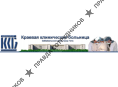 Краевая клиническая больница, ГУЗ