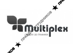 Мультиплекс