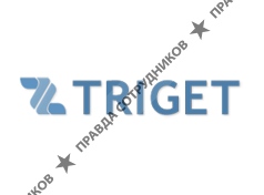Triget Media