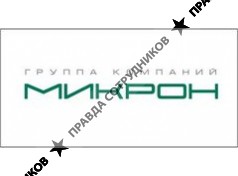 Микрон, Компания
