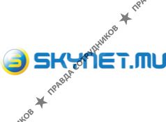 СКАЙНЭТ