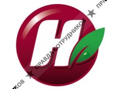 Торговая группа БИН