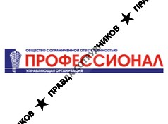 Профессионал