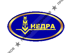 Недра