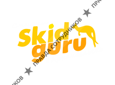 Skidguru.ru