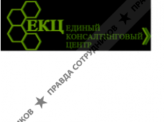 Единый консалтинговый центр