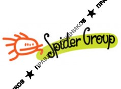 Spider Group