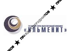 ТГОК Ильменит