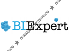 BIExpert