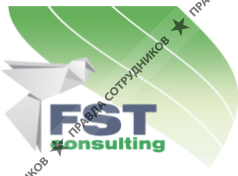 FST Consulting