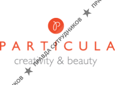 Партикула