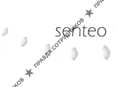 Senteo International
