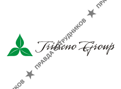 Trilseno Group