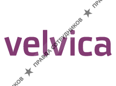 Velvica