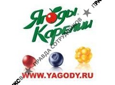 Ягоды Карелии