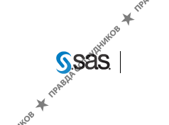 САС Институт