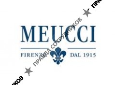 MEUCCI GROUP, Компания