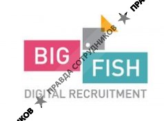 HR-бюро Big Fish Recruitment