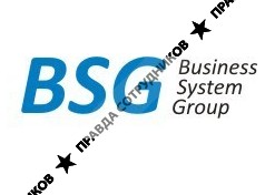 Business System Group