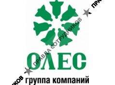 ОЛЕС Трейд