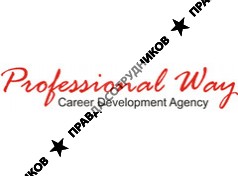 Professional Way