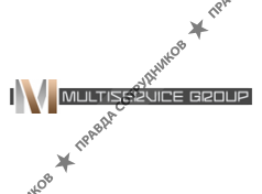 Multiservice Group