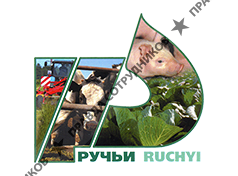 Племенной завод Ручьи