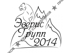Эверис Групп 2014