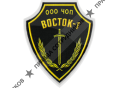 ЧОП Восток-1