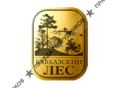 Кавказский лес