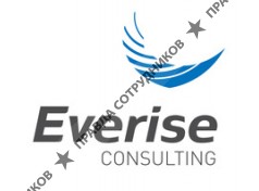 Everise Consulting