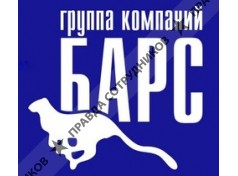 БАРС-СЕРВИС