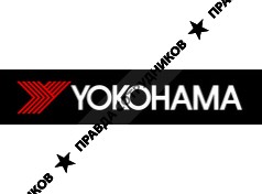 Video Yokohama Chaturbate