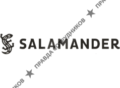 Саламандер