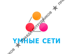 Компания Умные сети