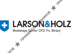 Larson&Holz IT Ltd