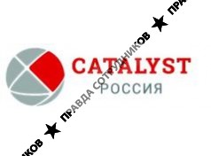 Catalyst 