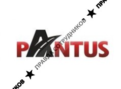 ПАНТУС 